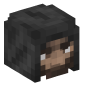 19079-thief