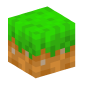 66305-grass-block-jungle