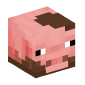 114331-muddy-pig
