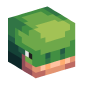 113122-turtle