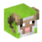 7599-aries-lime