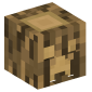 25277-log-with-carved-creeper