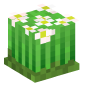 37514-grass-with-daisies