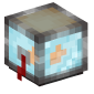 119020-fish-tank
