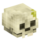 3994-mossy-skeleton-skull
