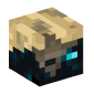 119557-sculk-husk