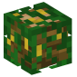 119011-jungle-tree
