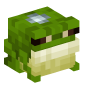 128622-common-frog-silver