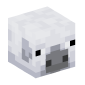 117906-pig-cold-grayed