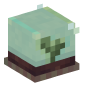 100690-sapling-in-glass