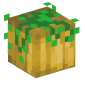 127270-pumpkin