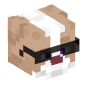 113634-dog