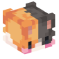 69417-cat