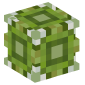 8245-glazed-terracotta-green