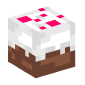 118198-cake