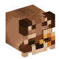 114672-raccoon