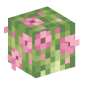 106268-flower-bush