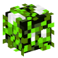 120096-neon-lime-bee