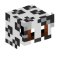 648-snow-leopard
