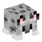 113628-snow-leopard