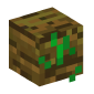 119016-jungle-wood