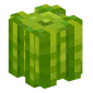 119987-melon