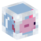 106792-axolotl-fish-tank