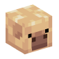 127472-baby-pig-cold