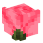 71302-hot-pink-rose