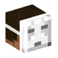 17727-man-with-ghast-mask