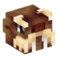 115215-walrus