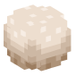 127563-spider-egg