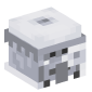 113880-villager-grayed-desert-cartographer
