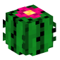 6-cactus-flower