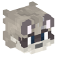 112232-raccoon
