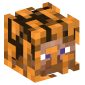 117147-steve-in-fall-leaves