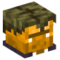 49722-gold-swamp-zombie-villager
