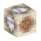 127555-bone