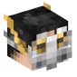 19013-man-with-mask