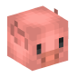 122455-pig