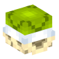124233-green-shell