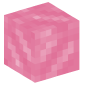 41651-funky-portal-pink