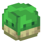 128710-spawn-egg-turtle
