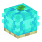 125834-shellfruit