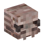 118981-insect