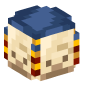 128720-spawn-egg-trader-llama