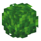114773-bush