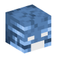 45023-wither-skull-invulnerable
