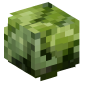 31417-cabbage