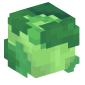 104657-cabbage
